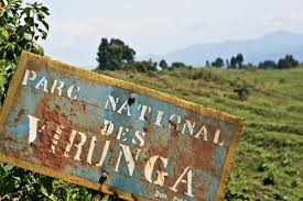 Article : RDC/Environnement: Le parc national des Virunga échappe à la prédation