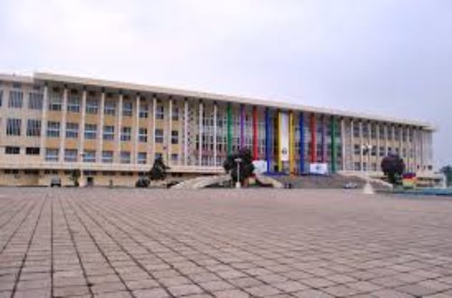Article : Assemblée nationale RDC : Bazar des parle-menteurs ?